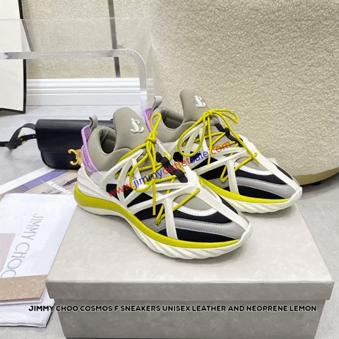 cheapmcmbelt giphygifmaker jimmy choo GIF