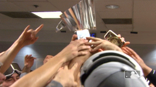 players trophy GIF by MLB