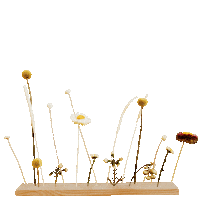 zaskoczmame warsztaty zaskocz mame zaskoczmame warsztaty zaskocz mame Sticker