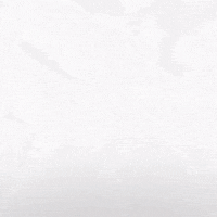 Hockey Eisbaeren GIF by Eisbären Berlin