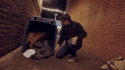 Stray Dog Puppy GIF by Better Noise Music
