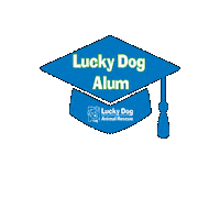 Ldar Sticker by Lucky Dog Animal Rescue