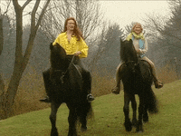 martha stewart horse GIF by Team Coco