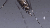 Eggs Mosquito GIF by PBS Digital Studios