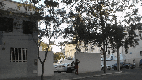 AnnieBonny giphyupload GIF