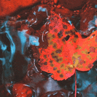 Art Love GIF by dualvoidanima