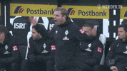 Football Soccer GIF by SV Werder Bremen