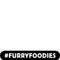 Cat Food Sticker by The OP Games