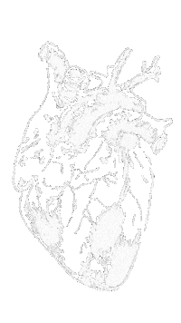 Heart Beating Sticker by Lucie Mullen