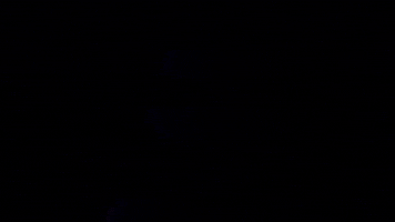 donovan wolfington GIF by Topshelf Records