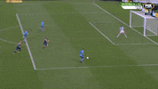 Assist Sydney Fc GIF by Hyundai A-League