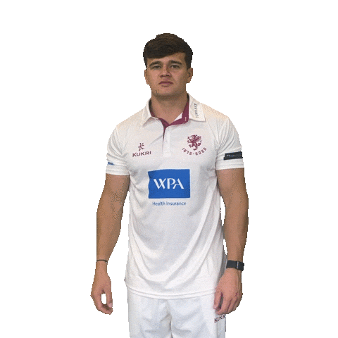 Celebration Sticker by Somerset County Cricket Club