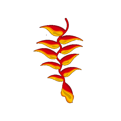 Flor Pacifico Sticker by Alejandro Eder