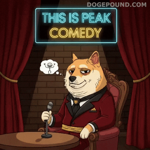 Stand Up Lol GIF by Doge Pound