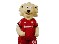 Bayer 04 Goal Sticker by Bayer 04 Leverkusen