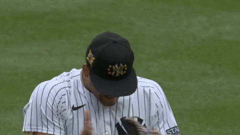 Yell New York Yankees GIF by YES Network