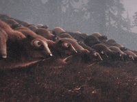Groundhog Day Omg GIF by ENSI