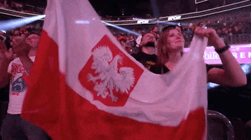 Polish Flag Sport GIF by UFC