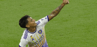 Orlando City Football GIF by Major League Soccer