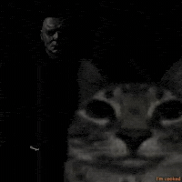 Scared Locked In GIF