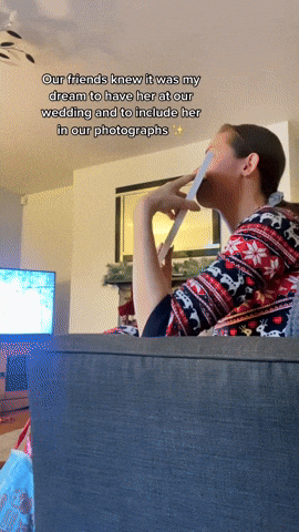 cuteanimalland giphyupload GIF