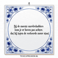 Wijsheid Reflectie GIF by Tegelspreuken.nl