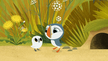 #puffin #rock #puffinrock #oona #baba #whatyoudoing? GIF by Puffin Rock