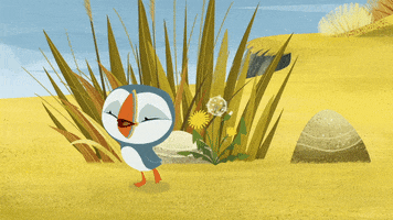 #puffin #rock #puffinrock #oona #baba #bababoo GIF by Puffin Rock