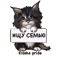 Kseniaep Sticker