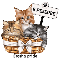 Kseniaep Sticker
