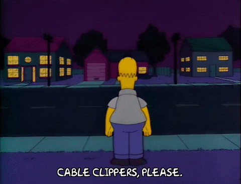 Season 2 Episode 13 GIF by The Simpsons