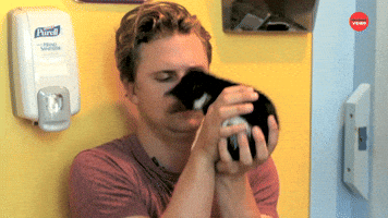 Paw To Face