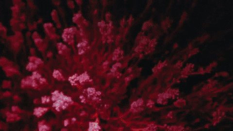 GIF by LoudMouth Film