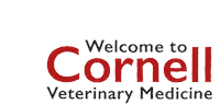 Cornell Grad Sticker by Cornell University