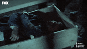 Fox Foxturkiye GIF by NOW