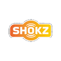 Flyingpig Sticker by Shokzusa