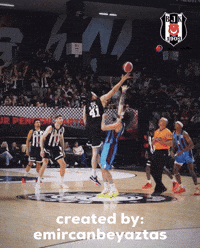 Ante Zizic Morgan GIF