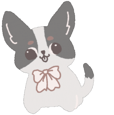 Ganda30678 giphyupload chihuahua Sticker