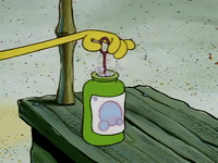season 1 GIF by SpongeBob SquarePants