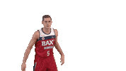 Liga Endesa Basketball Sticker by ACB
