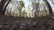 GIF by Duke University