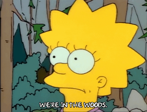 Season 1 GIF by The Simpsons
