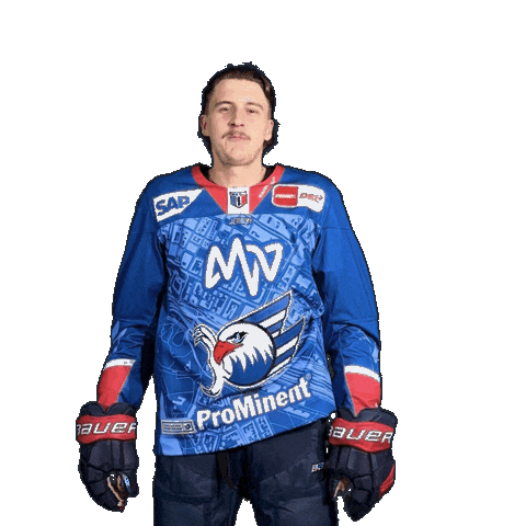 Leon Gawanke Sticker by Adler Mannheim
