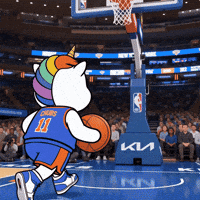 Nba Playoffs Basketball GIF by Chubbiverse