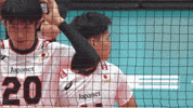 Japan Celebrate GIF by Volleyball World