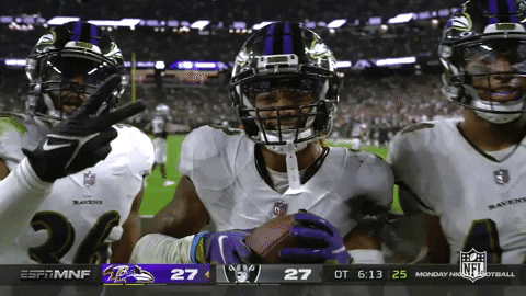 Happy Baltimore Ravens GIF by NFL