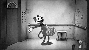 eek13 giphyupload GIF
