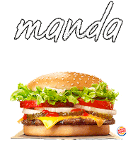 hamburger bk Sticker by Burger King