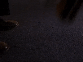 Season 2 Episode 21 GIF by Twin Peaks on Showtime