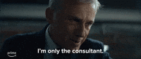 The Consultant
